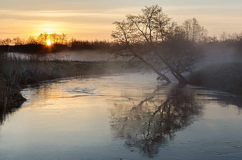 Baum, Wasser, neben, Flussufer, tagsüber, Fluss, Landschaft, Natur, Sonnenuntergang, Reflexion, See, szenen, draußen, Himmel, Ruhe, ruhige Szene, Schönheit in der Natur, Szenen - Natur, Nicht-städtische Szene, keine Leute, Pflanze, idyllisch, Nebel, Sonne, Ufergegend, dunstig, 4K, CC0, gemeinfrei, lizenzfrei