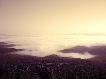 antenni, kuva, puu, pilviä, cloudformation, pilvi, auringonlasku, näkymä, vuori, sumu, vuoren huippu, pilvimetsä, maisema, tyhjä tila, violetti, metsä, taivas, maisemat - luonto, kauneus luonnossa, rauhallinen kohtaus, tyyneys, pilvi - taivas, ympäristö, ei ihmisiä, luonto, ei-kaupunkikuvia, ulkona, idyllinen, kopiointitila, cloudscape, korkea kulma, 4K, CC0, public domain, rojaltivapaa