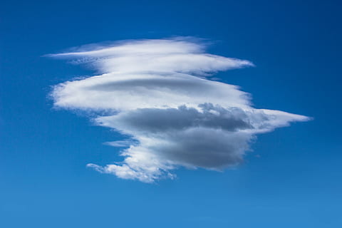 vit molnbildning, vit, moln, blå, himmel, skys, clouds, utomhus-, natur, minimal, vibrerande, horisontell, rymden, naturlig, takfönster, stratosfär, ozon, fluffig, vind, naturskön, klimat, moln - himmel, inget folk, vit färg, skönhet i naturen, utomhus, dag, atmosfär, frihet, miljö, digital komposit, bakgrunder, meteorologi, 2K, CC0, offentligt domän, royaltyfria