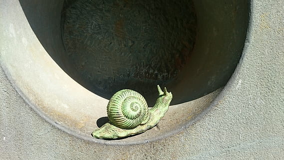 melc, inceputul, Sfârșit, intrare, la inceput, infinit, un animal, animale tematice, animale în sălbăticie, a închide, nici o persoana, animal, animale sălbatice, zi, reprezentarea animalelor, reprezentare, Culoarea verde, natură, animale vertebrate, umbră, în interior, vedere în unghi mare, lumina soarelui, târâtoare, sculptură, lungime totală, 4K, CC0, domeniu public, fără drepturi de autor