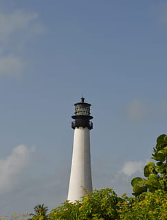 faro, faro, torri, strutture, torri, luci, avvertimento, segnali, guida, indicazioni, navi, mare, oceano, sicurezza, alto, edifici, blu, alberi, verde, le foglie, frondoso, rami, all'aperto, costiero, sponde, Torre, posto famoso, cielo, direzione, giorno, architettura, struttura costruita, esterno dell'edificio, natura, Inquadratura dal basso, nessuno, protezione, viaggio, costruzione, destinazioni di viaggio, turismo, pianta, 5K, CC0, dominio pubblico, privo di copyright