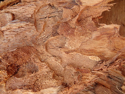 textură, Hires, fundal, textura 1, compoziţie, obiect de rocă, geologie, natură, geografie fizica, fosil, nici o persoana, stâncă, maro, fundaluri, texturată, cadru complet, solid, model, a închide, formatie rock, stare brută, în aer liber, zi, lemn - material, istorie, teren, climat, erodate, Gresie, 4K, CC0, domeniu public, fără drepturi de autor