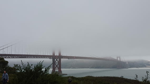 un perfetto equilibrio, Golden Gate Bridge, ponte, nuvoloso, nuvole, nebbia, nebbioso, architettura, connessione, acqua, struttura costruita, ponte - struttura fatta dall'uomo, cielo, natura, destinazioni di viaggio, mezzi di trasporto, città, ambiente, esterno dell'edificio, copia spazio, scenics - natura, bellezza nella natura, pianta, nessuno, all'aperto, paesaggio urbano, colonna architettonica, 2K, CC0, dominio pubblico, privo di copyright