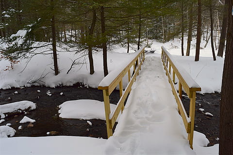 bridge, snow, forest, stream, creek, winter, nature, outdoor, park, landscape, cold, tree, white, water, scenic, ice, wood, wooden, weather, cross, brook, cold temperature, covering, plant, white color, beauty in nature, tranquility, no people, frozen, land, day, scenics - nature, tranquil scene, wood - material, direction, outdoors, snowcapped mountain, 4K, CC0, public domain, royalty free