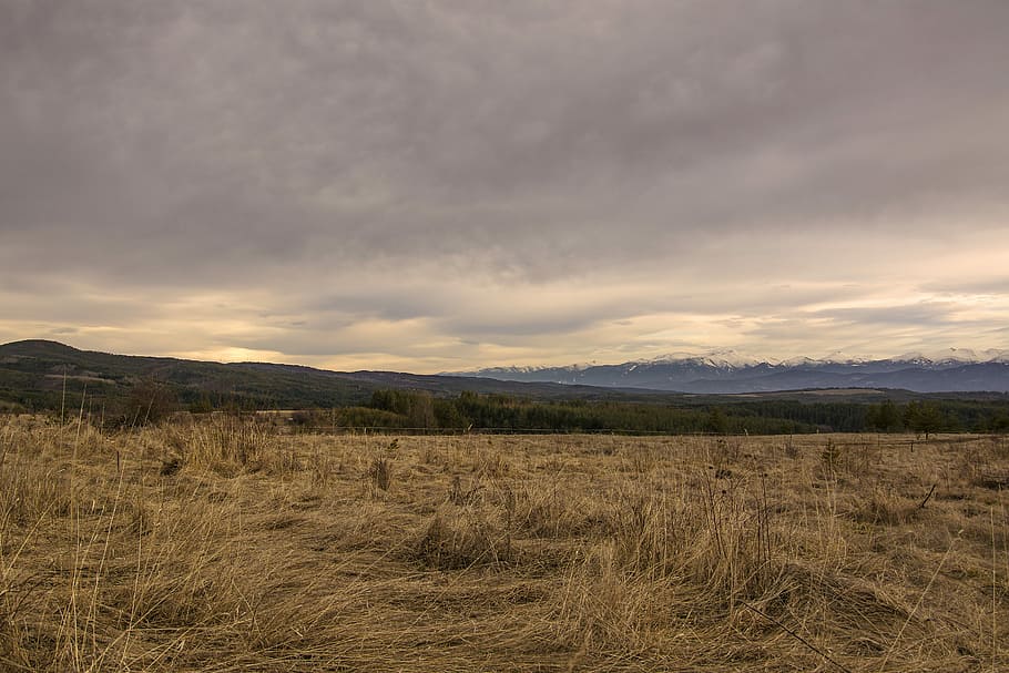 krajobraz, panoramiczny, niebo, zachód słońca, Natura, płaszczyzna pozioma, podróżować, środowisko, chmura - niebo, roślina, wylądować, scenics - natura, piękno natury, trawa, spokój, pole, spokojna scena, scena wiejska, żadnych ludzi, rolnictwo, scena pozamiejska, Góra, roślina zbożowa, na dworze, 5K