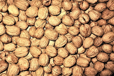 Walnüsse, Nüsse, Obst, Struktur, Vollbild, Hintergründe, Lebensmittel, große gruppe von gegenständen, Essen und Trinken, Fülle, Nuss, Wohlbefinden, Nuss - Essen, Nahansicht, keine Leute, gesundes Essen, Stillleben, texturiert, braun, Frische, Detail, Haufen, direkt darüber, Nussschale, Snack, 4K, CC0, gemeinfrei, lizenzfrei