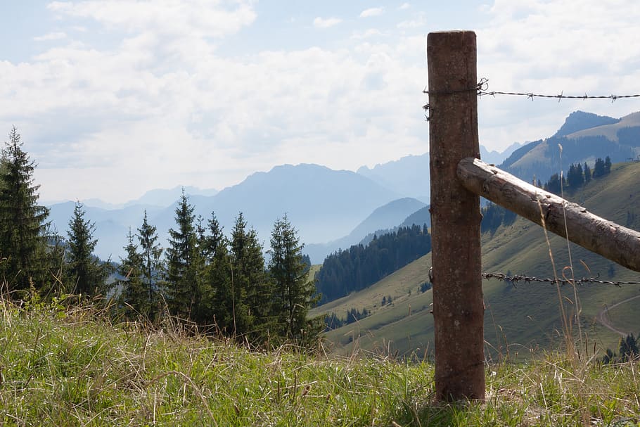 muntanyes, alpí, baviera superior, stempen, tanca, filferro espinós, límit, sudelfeld, alm, pastures, hochalm, naturalesa, paisatge, panorama, cel, paisatge de muntanya, bosc, bosc de coníferes, muntanya, escenics - natura, bellesa a la natura, escena tranquil·la, planta, núvol - cel, tranquil·litat, arbre, Serra, medi ambient, idíl·lic, escena no urbana, dia, terra, herba, cap gent, material de fusta, a l'aire lliure, post de fusta, 4K