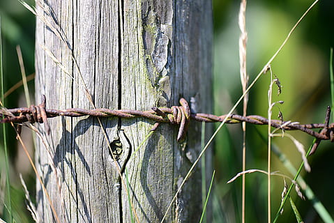 sârmă ghimpată, ruginit, post, erodate, pasarelă de pășuni, delimitare, să se concentreze asupra primelor elemente, gard, copac, Securitate, Siguranță, plantă, limite, protecţie, nici o persoana, barieră, zi, natură, a închide, sârmă, în aer liber, creştere, metal, lemn - material, teren, bambus - planta, 5K, CC0, domeniu public, fără drepturi de autor