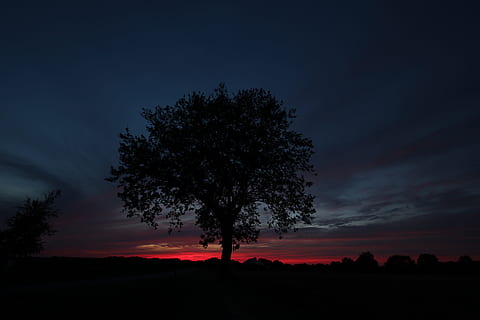 tre, kveld, skumring, humør, solnedgang, landskap, himmel, atmosfære, kveldshimmel, skyer, natur, romantisk, Abendstimmung, silhouette, mørk, natt, scenics, utendørs, skjønnhet i naturen, sky - himmel, rolig scene, anlegg, ro, naturskjønnhet - natur, miljø, ingen folk, oransje farge, felt, land, stjerners - plass, dramatisk himmel, furutre, 5K, CC0, offentlig domene, opphavsrett gratis