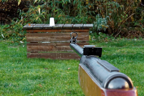 selettivo, foto di messa a fuoco, fucile, puntamento, tazza, arma, sparare, obiettivi, sport di tiro, pistola ad aria compressa, pistola, Vista posteriore, grano, erba, pianta, giorno, natura, terra, nessuno, campo, colore verde, concentrarsi sulle conoscenze acquisite, parco, temi animali, metallo, cortile anteriore o posteriore, rubinetto, animale, un animale, all'aperto, vertebrato, uccello, parco - spazio creato dall'uomo, 2K, CC0, dominio pubblico, privo di copyright