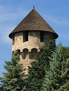 Schloss, Turm, Budapest, Ungarn, Schloss, Turm, die Architektur, Architektur und Gebäude, Gebäudehülle, Himmel, Geschichte, draußen, gebaute Struktur, Baum, keine Leute, Tag, Pflanze, Natur, Flachwinkelansicht, Wachstum, wolke - himmel, grüne Farbe, Gebäude, Dach, Sonnenlicht, die Vergangenheit, Religion, 1080P, CC0, gemeinfrei, lizenzfrei