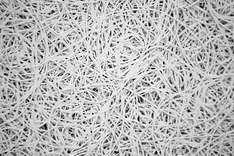 vzor, textura, pozadí, povrch, šedá, celý rám, detail, nikdo, velká skupina objektů, uvnitř, stálý život, jídlo a pití, texturou, Příroda, hojnost, jídlo, svěžest, rostlina, selektivní zaměření, bílá barva, vysoký úhel pohledu, studio shot, den, 4K