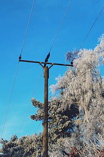 vinterlige, vinter, landskab, Strommast, sne, snedækket, vinter magi, aftenhimmel, kold, Frosset, frost, is, vinterdag, hvid, Tyskland, isnende, sneet inde, natur, træ, vinterdrøm, eventyr, vinterstemning, sne magi, grene, ensom, æstetisk, sne landskab, hvile, nåle, elektricitet, blå, strømkabel, kabel, himmel, udendørs, Strømforsyning, brændstof og elproduktion, forbindelse, plante, lav vinkel visning, ingen mennesker, dag, teknologi, el-pylon, skyfri himmel, telefon stolpe, sollys, kompleksitet, telefonlinje, 2K, CC0, offentligt domæne, royaltyfrie