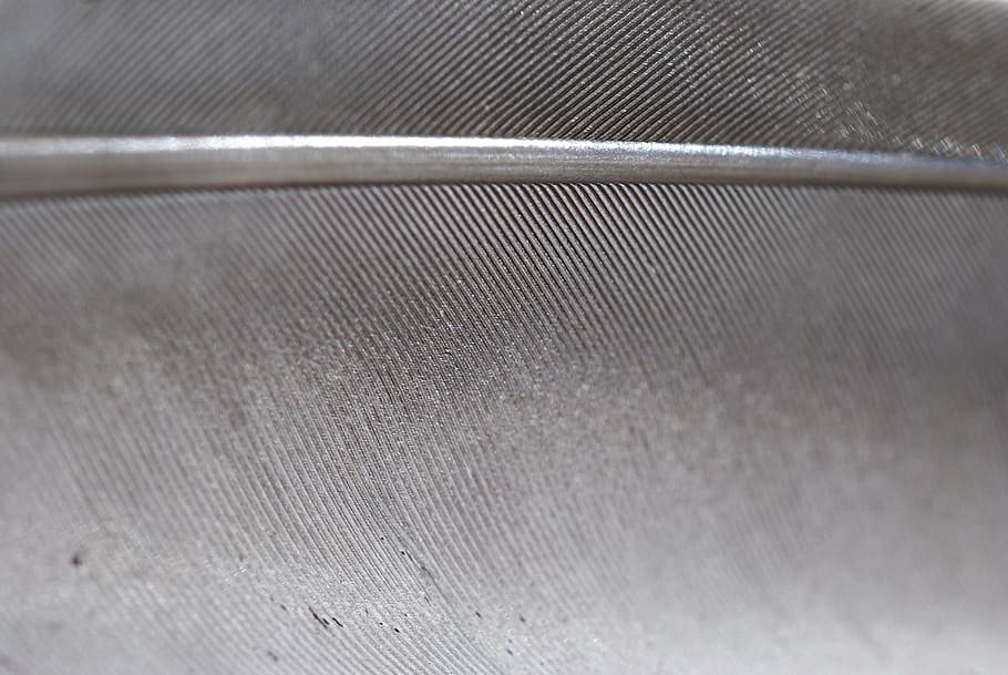 grå, Due, fjer, metal, sølvfarvet, baggrunde, stål, tæt på, mønster, sølv - metal, legering, ingen mennesker, tekstureret, fuld ramme, aluminium, skinnende, rustfrit stål, jern - metal, teknologi, abstrakt, afspejling, industri, metalplader, abstrakte baggrunde, krom, 4K