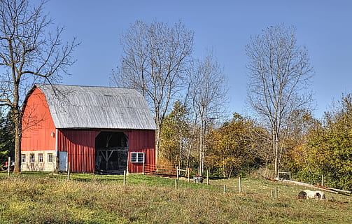 lade, rustik, staldene, ohio, digital kunst, landdistrikterne, naturskøn, Land, landskabet, landskab, skur, skure, gård, gårde, landbrug, landbrugs, stuehus, Champaign, region, americana, Foto, fotografi, struktur, strukturer, sturgell, william sturgell, bill sturgell, historisk, hjem indretning, bygninger, skyer, himmel, træ, træer, overskyet, ukrudt, champaign county, Urbana, arkitektur, bygget struktur, bygning udvendig, plante, bare træ, landbrugsbygning, bygning, jord, Mark, natur, ingen mennesker, landlige scene, græs, dag, skyfri himmel, udendørs, sommerhus, 5K, CC0, offentligt domæne, royaltyfrie