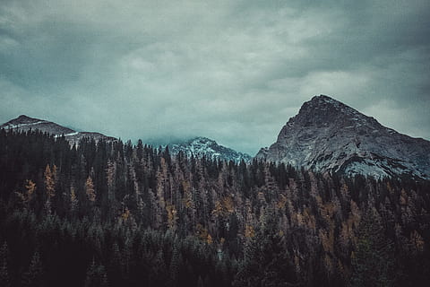 copaci, Munte, noros, cer, verde, maro, summit-, pădure, nor, natură, peisaj, scenics, în aer liber, de munte, copac, nor - cer, varf de munte, munți stâncoși, nici o persoana, frumusețe în natură, obiect de rocă, scenice - natura, o scenă liniștită, liniște, scenă non-urbană, plantă, mediu inconjurator, zi, teren, iarnă, Brad, un munte acoperit de zăpadă, formare, conifer, 4K, CC0, domeniu public, fără drepturi de autor