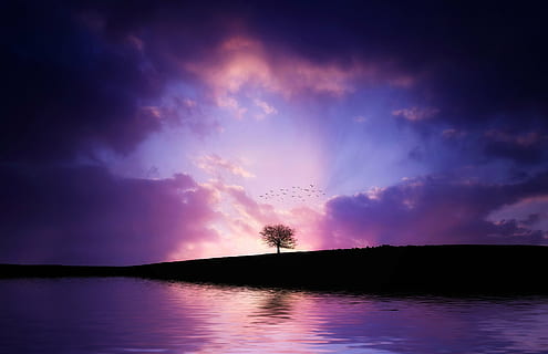 fotografia di paesaggio, corpo, acqua, albero, lago, riflessione, paesaggio, natura, cielo, scenario, nazionale, flora, fiume, pianta, estate, foresta, vista, parco, naturale, tramonto, crepuscolo, blu, all'aperto, nuvola - cielo, bellezza nella natura, la tranquillità, scena tranquilla, silhouette, scenics - natura, cielo drammatico, nessuno, buio, notte, viola, cielo romantico, 1080P, CC0, dominio pubblico, privo di copyright