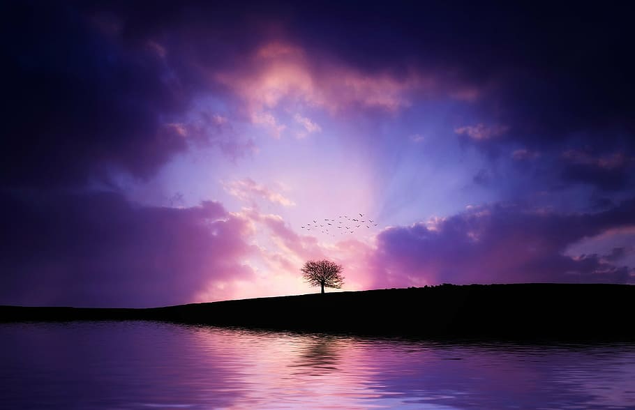 fotografia di paesaggio, corpo, acqua, albero, lago, riflessione, paesaggio, natura, cielo, scenario, nazionale, flora, fiume, pianta, estate, foresta, vista, parco, naturale, tramonto, crepuscolo, blu, all'aperto, nuvola - cielo, bellezza nella natura, la tranquillità, scena tranquilla, silhouette, scenics - natura, cielo drammatico, nessuno, buio, notte, viola, cielo romantico, 1080P