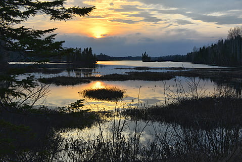 Sonnenuntergang, Natur, Sumpf, Sonne, Abend, Landschaft, Sommerlicht, Dämmerung, See, Natur Sonnenuntergang, Wolken, Baum, Reflexion, Wasser, draußen, Himmel, szenen, Wald, Sommer-, Szenen - Natur, Ruhe, Schönheit in der Natur, ruhige Szene, Pflanze, wolke - himmel, keine Leute, idyllisch, Silhouette, Nicht-städtische Szene, Wachstum, orange Farbe, 5K, CC0, gemeinfrei, lizenzfrei