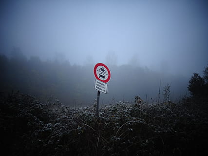 tåge, natur, skjold, Bemærk, blå, grå, blå, grå, træ, advarselsskilt, rød, ingen mennesker, vejskilt, skilt, meddelelse, plante, Information, himmel, vejledning, stopskilt, jord, informationsskilt, tekst, scenics - natur, ro, udendørs, 2K, CC0, offentligt domæne, royaltyfrie
