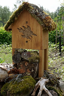 hyönteishotelli, nidification des insectes, ajout d'insectes, arbre, plante, journée, la nature, architecture, personne, structure construite, croissance, solide, en plein air, bois - matériau, Roche, forêt, terre, rock - objet, tranquillité, beauté dans la nature, mousse, eau, couleur verte, 2K, CC0, domaine public, libre de droits