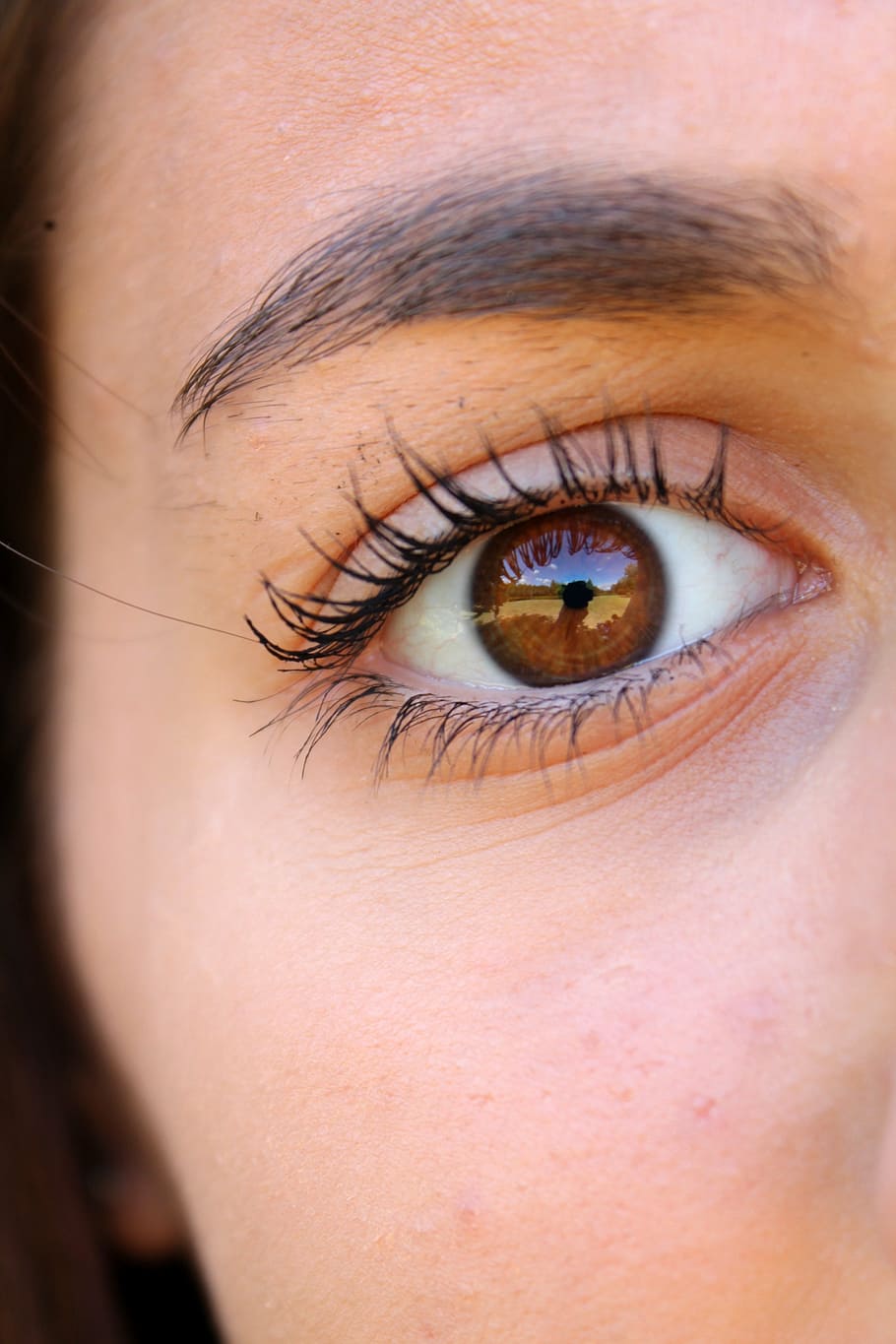 Nahaufnahmefoto, Mensch, Auge, Wimpern, Augenbrauen, Gesicht, Frau, Mädchen, braun, Nahansicht, Frauen, menschliches Auge, Menschen, Schönheit, menschliches Gesicht, eine Person, kaukasischer Abstammung, Erwachsene, junger Erwachsener, Wimper, menschliches Körperteil, Körperteil, Porträt, Augenbraue, Sehvermögen, Kamera betrachten, extreme Nahaufnahme, Vorderansicht, schöne Frau, Iris - Auge, Teenager, Augapfel, Lidschatten, 4K