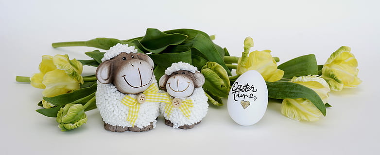 zwei, Weiß, Schaf Party, Gefälligkeiten, Schaf, Ostern, Osterei, Dekoration, Ostergruß, Frühling, Deko, Osterdekoration, eilen, Tulpen, Papageientulpen, frühlingsanfang, Frühlingserwachen, Frühlingsgruß, Grußkarte, Brauch, Ostergrüße, Osterfeier, Süßigkeiten, Keramikfiguren, lustig, Zahl, Keramik, Lebensmittel, Essen und Trinken, Studioaufnahme, drinnen, keine Leute, Gemüse, Frische, Stillleben, gesundes Essen, Feier, weißer Hintergrund, Variation, Wahl, Darstellung, Tierdarstellung, Gruppe von Objekten, Kreativität, Ei, 5K, CC0, gemeinfrei, lizenzfrei