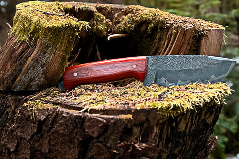 Wald, Messer, Baumstamm, Holz - Material, Baumstumpf, Borke, Natur, Tag, Holz, keine Leute, Axt, Nahansicht, Baum, draußen, Log, Arbeitsgerät, Abholzung, Kofferraum, Pflanze, Bauholz, Werkzeug, Brennholz, gehackt, 4K, CC0, gemeinfrei, lizenzfrei