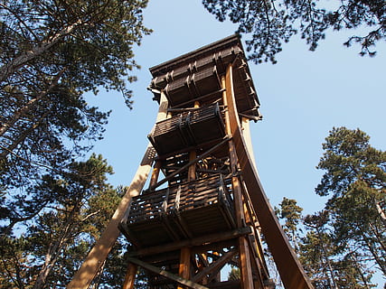 tower, observation tower, architecture, high, building, tree, low angle view, plant, nature, sky, day, no people, built structure, wood - material, outdoors, tall - high, forest, land, growth, clear sky, branch, rural scene, history, landscape, 4K, CC0, public domain, royalty free