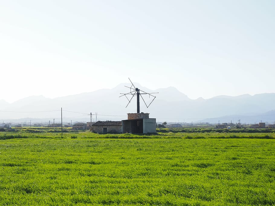 molí de vent, vell, caduc, ruïna, mallorca, muro, molí, energia eòlica, ala, deteriorat, agricultura, sense sentit, naturalesa, generació de combustible i energia, tecnologia, electricitat, medi ambient, indústria, aerogenerador, energia, escena rural, paisatge, cel, camp, conservació del medi ambient, terra, energia renovable, energia alternativa, color verd, planta, escenics - natura, bellesa a la natura, turbina, tranquil·litat, herba, dia, cap gent, a l'aire lliure, Font d'alimentació, 4K