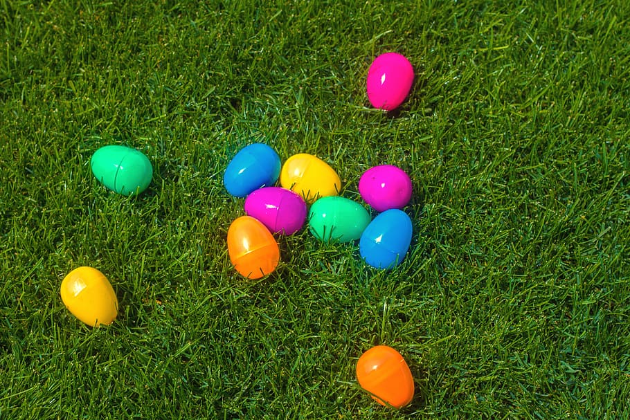 assortito, contenitori di plastica per uova, uova di Pasqua, campo d'erba, caccia all'uovo di Pasqua, uovo di plastica, uovo, Pasqua, blu, multicolore, erba, colore verde, pianta, vista dall'alto, natura, nessuno, celebrazione, uovo di Pasqua, scelta, gruppo di oggetti, terra, variazione, giorno, vulnerabilità, campo, colore rosa, 5K