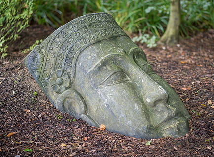 buddha headbust, Buda, cap, bust, figura, escultura, meditació, relaxa't, fred, recuperació, recuperar-se, benestar, deïtat, pedra, asia, descans, fernöstlich, espiritual, budisme, meditar, zen, estàtua, religió, jardí, espiritualitat, art, relaxació, temple, orientar, Feng Shui, ioga, silenciós, figura de pedra, tailandès buda, cara, religiós, steinchen, naturalesa, cap gent, dia, a l'aire lliure, primer pla, terra, camp, tortuga, animal, rèptil, temes d'animals, planta, centrar-se en primer pla, fauna animal, animals a la natura, representació, closca d’animals, vista d’angle alt, herba, part de la planta, 5K, CC0, domini públic, lliure de regalies