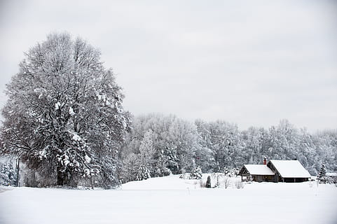 Landschaft, Winterhaus, schneebedeckt, Winter, Schnee, Natur, kalte Temperatur, Baum, draußen, Weiß, ländliche Szene, Nicht-städtische Szene, Jahreszeit, Wald, szenen, Frost, gefroren, Eis, keine Leute, Haus, Chalet, Pflanze, Land, weiße Farbe, Tag, Feld, Schönheit in der Natur, die Architektur, Umgebung, gebaute Struktur, Szenen - Natur, Himmel, schneit, 4K, CC0, gemeinfrei, lizenzfrei