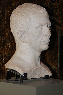 Cæsar, buste, Arles, antik, levn, romans, arkæologi, rom, statue, skulptur, Kunst og håndværk, repræsentation, menneskelig repræsentation, kreativitet, tæt på, mandlig lighed, håndværk, ingen mennesker, museum, kvindelig lighed, fokus på forgrunden, historie, marmor, indendørs, stenmateriale, carving - håndværk produkt, arkitektur, Engel, 2K, CC0, offentligt domæne, royaltyfrie