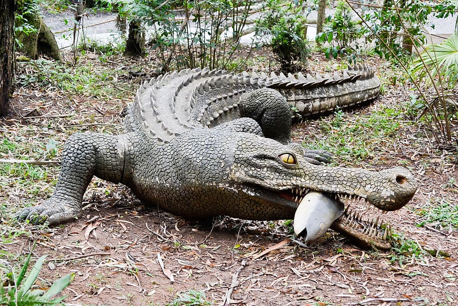 dinosaurus, robot, jurassic, dyr, dyre temaer, dyreliv, krybdyr, dyr i naturen, plante, krokodille, træ, natur, ingen mennesker, jord, hvirveldyr, et dyr, dag, Skov, udendørs, alligator, meddelelse, skilt, 1080P