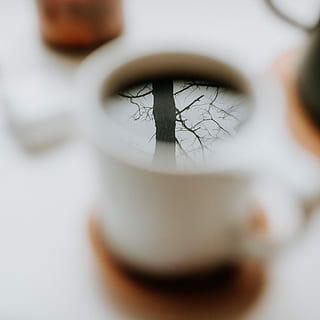 riflessione, albero, nero, caffè, finestra, foresta, adulto, in casa, avvicinamento, una persona, parte del corpo umano, messa a fuoco selettiva, parte del corpo, finanza, girato in studio, concentrarsi sullo sfondo, detenzione, occupazione, giorno, tazza, giovane adulto, precisione, boccale, contemplazione, 2K, CC0, dominio pubblico, privo di copyright