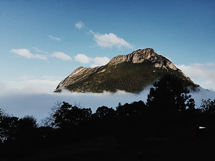 clouds, blue, sky, daytime, blue sky, nature, mountain, scenics, landscape, landscapes, outdoors, travel Locations, no People, beauty In Nature, mountain Peak, cloud - sky, one animal, animals in the wild, animal wildlife, tree, plant, scenics - nature, tranquil scene, tranquility, non-urban scene, day, low angle view, land, growth, idyllic, rock, environment, 2K, CC0, public domain, royalty free