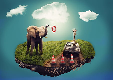 elephant, field, giraffe, sedan, dream, surreal, composition, auto, island, animal, animal themes, mammal, cloud - sky, one animal, sky, digital composite, no people, plant, nature, humor, creativity, fun, tree, bizarre, animal representation, domestic animals, representation, day, outdoors, 1080P, CC0, public domain, royalty free