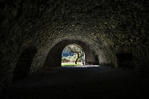 grey tunnel, black, bare, tree, near, tunnel, entrance, black and white, architecture, structure, nature, dome, arch, dark, indoors, horror, spooky, focus on foreground, built structure, abandoned, old ruin, no people, history, old, building, the past, day, wall - building feature, solid, wall, the way forward, direction, empty, light at the end of the tunnel, arched, stone wall, ruined, ancient civilization, 5K, CC0, public domain, royalty free