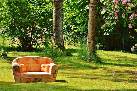 rosa, divano, campo d'erba, natura, prato, riposo, rilassarsi, sole, giardino, accogliente, posto a sedere, pianta, albero, erba, colore verde, terra, giorno, tronco d'albero, nessuno, crescita, campo, tronco, modo di trasporto, mezzi di trasporto, luce del sole, parco, all'aperto, auto, sedia, la tranquillità, 4K, CC0, dominio pubblico, privo di copyright