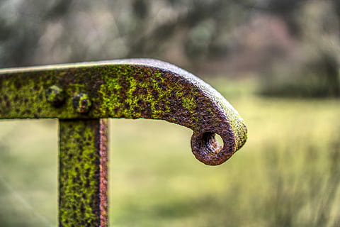 rækværk, bro, rusten, gamle brudt, mos, græs, grøn, forlade, tabte steder, web, rustfri, overgang, gitter, fodgængerbro, metalramme, metal, konstruktion, gamle bro, hdr, højt dynamisk område, kontrast, skrue, fokus på forgrunden, tæt på, ingen mennesker, dag, natur, udendørs, plante, selektiv fokusering, forvitret, gammel, grøn farve, træ - materiale, træ, mad, enkelt objekt, forladt, svamp, søm, 5K, CC0, offentligt domæne, royaltyfrie