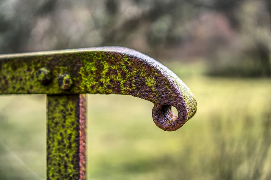 rækværk, bro, rusten, gamle brudt, mos, græs, grøn, forlade, tabte steder, web, rustfri, overgang, gitter, fodgængerbro, metalramme, metal, konstruktion, gamle bro, hdr, højt dynamisk område, kontrast, skrue, fokus på forgrunden, tæt på, ingen mennesker, dag, natur, udendørs, plante, selektiv fokusering, forvitret, gammel, grøn farve, træ - materiale, træ, mad, enkelt objekt, forladt, svamp, søm, 5K