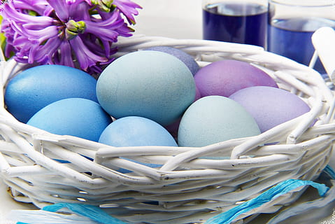 Ostereier, Weiß, Korb, Ostern, Ei, traditionell, Nest, Farbe, Lebensmittel, Natur, handgemacht, geben, pastellfarben, feiern, Eier färben, bio, Einladung, Grußkarte, Diabetes, Diät, Frühstück, Osterferien, Kinder, basteln, Krokus, lila, Blau, Osternest, osterkorb, Osterei, mehrfarbig, Feier, keine Leute, Container, Stillleben, Nahansicht, Essen und Trinken, Urlaub, Dekoration, drinnen, große gruppe von gegenständen, Kunst und Handwerk, Blume, 4K, CC0, gemeinfrei, lizenzfrei