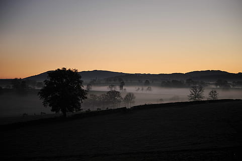 silhouet, bergketens, doorbladerd, bomen, berg-, ranges, natuur, zonsondergang, landschap, boom, Vakantiebestemmingen, hemel, schemer, buitenshuis, landelijke scène, geen mensen, schoonheid in de natuur, kalmte, rustige scène, scenics - natuur, mist, water, fabriek, niet-stedelijke scène, idyllisch, milieu, kopie ruimte, vaag, 4K, CC0, publiek domein, royaltyvrij
