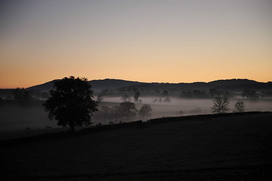 silhouette, catene montuose, leafed, alberi, montagna, intervalli, natura, tramonto, paesaggio, albero, Paesaggi, cielo, crepuscolo, all'aperto, scena rurale, nessuno, bellezza nella natura, la tranquillità, scena tranquilla, scenics - natura, nebbia, acqua, pianta, scena non urbana, idilliaco, ambiente, copia spazio, nebbioso, 4K