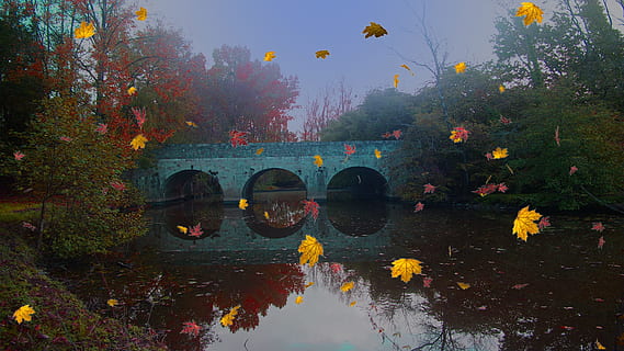 montaggio, fiume, paesaggio, riflessione, acqua, albero, all'aperto, natura, giorno, pianta, autunno, modificare, lago, foglia, parte vegetale, ponte, ponte - struttura fatta dall'uomo, scenics - natura, la tranquillità, nessuno, bellezza nella natura, connessione, scena tranquilla, arco, ponte ad arco, collezione autunnale, 1080P, CC0, dominio pubblico, privo di copyright