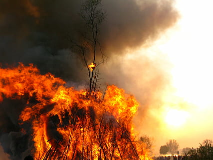 easter fire, fire, flame, burning, fire - natural phenomenon, tree, forest fire, accidents and disasters, nature, forest, smoke - physical structure, sky, environmental damage, plant, orange color, environment, communication, environmental issues, destruction, heat - temperature, no people, outdoors, air pollution, pollution, 4K, CC0, public domain, royalty free
