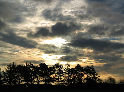 hemel, wolken, overdekte lucht, bomen, wolk - lucht, boom, kalmte, schoonheid in de natuur, fabriek, scenics - natuur, rustige scène, silhouet, zonsondergang, geen mensen, natuur, niet-stedelijke scène, idyllisch, dramatische hemel, milieu, buitenshuis, groei, zonlicht, 2K, CC0, publiek domein, royaltyvrij
