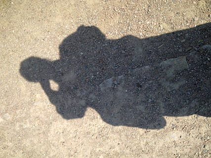 sombra, suelo arenoso, vago, ligero, cerrar, arena, playa, naturaleza, luz del sol, vista de alto ángulo, día, nadie, centrarse en la sombra, al aire libre, tierra, ciudad, un animal, soleado, calle, 2K, CC0, dominio público, libre de derechos