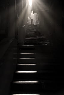 Niska, fotografia kątowa, schody, ciemny, światło, krok, perspektywiczny, czarny i biały, str, klatka schodowa, kierunek, architektura, droga naprzód, schody i klatki schodowe, zbudowana struktura, wewnątrz, żadnych ludzi, niski kąt widzenia, poruszać się w górę, światło słoneczne, balustrada, brak, budynek, funkcja budowy ścian, Natura, malejąca perspektywa, promień słońca, dzień, 1080P, CC0, domena publiczna, darmowe zdjęcia